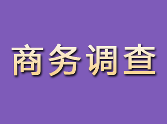 崇川商务调查