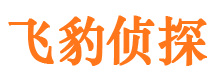 崇川侦探取证